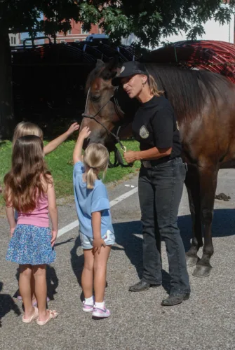 Washington County Sheriff's office announces new Mounted Unit